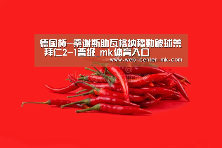 德国杯-桑谢斯助瓦格纳穆勒破球荒 拜仁2-1晋级_mk体育入口(图2) mk体育