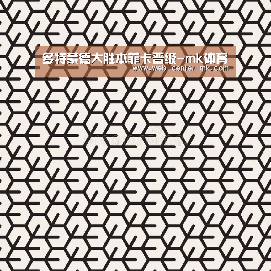 多特蒙德大胜本菲卡晋级-mk体育(图2) mk体育官网