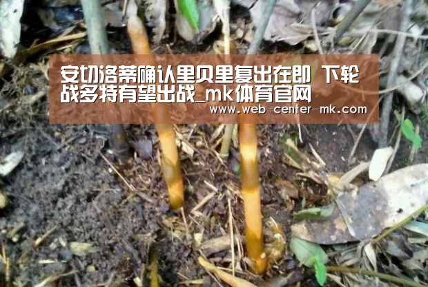 安切洛蒂确认里贝里复出在即 下轮战多特有望出战_mk体育官网