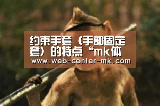 约束手套(手部固定套)的特点“mk体育入口”(图1) mk体育官网