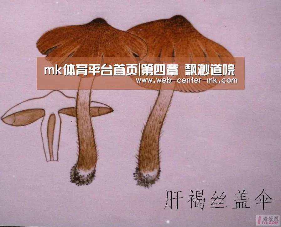 mk体育平台首页|第四章 飘渺道院(图1) mk体育平台首页